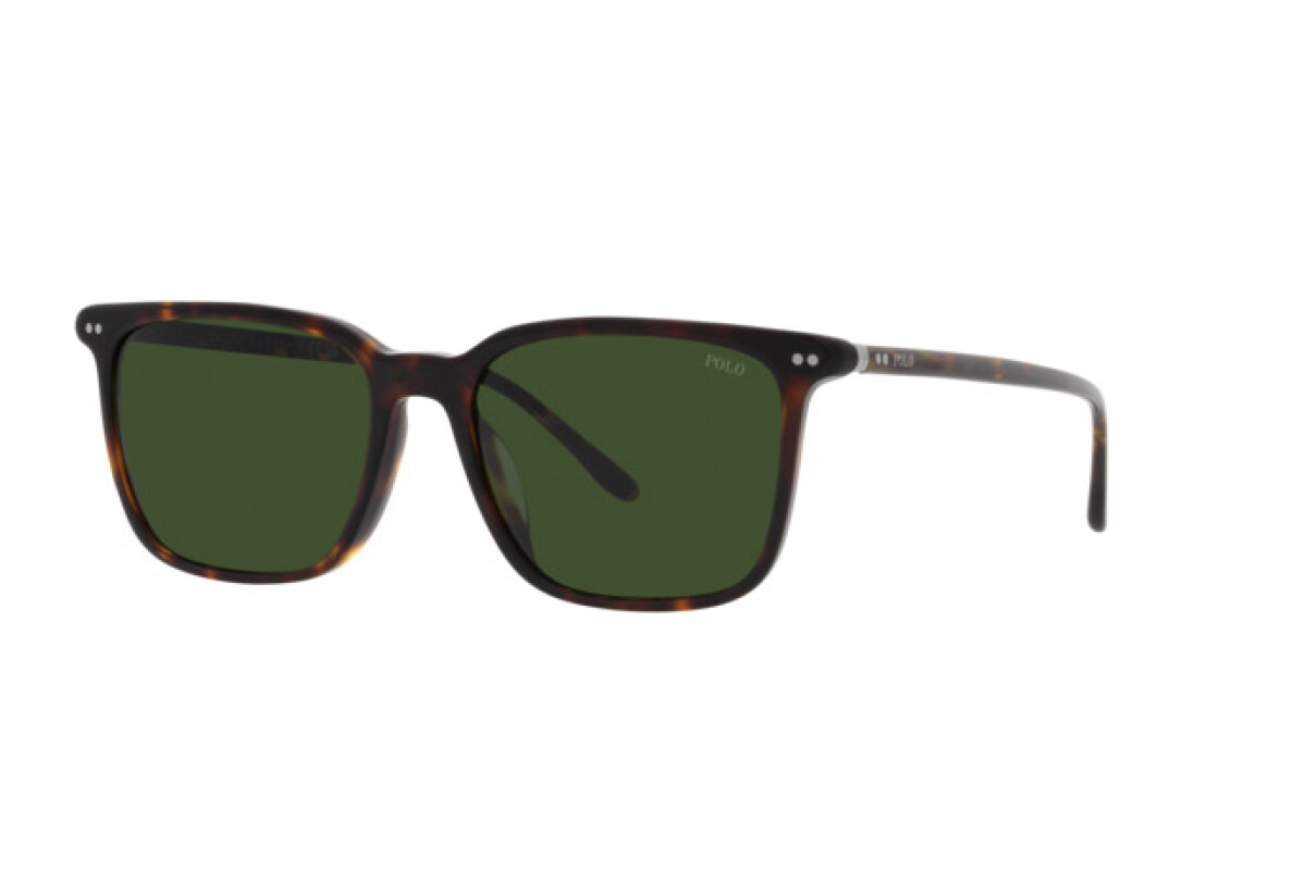 Sunglasses Man Polo Ralph Lauren  PH 4194U 500371