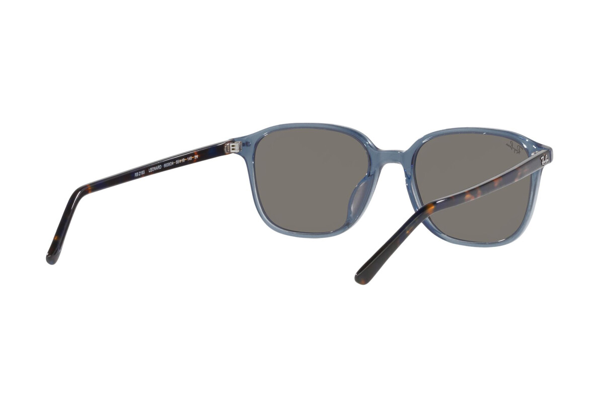 Ray Ban Leonard RB2193 901/58 polarized sunglasses - Ottica Mauro