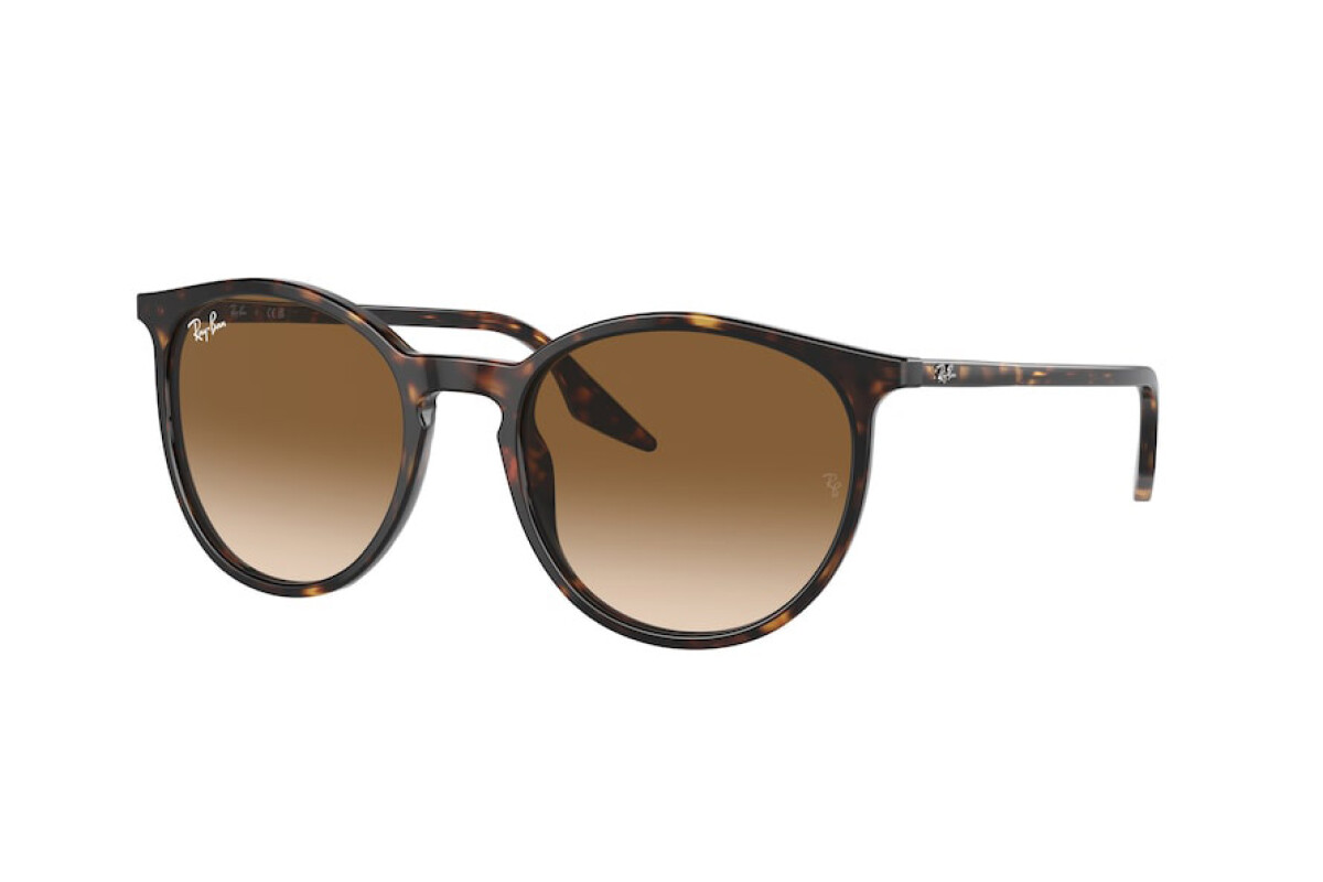 Occhiali da sole Unisex Ray-Ban  RB 2204 902/51