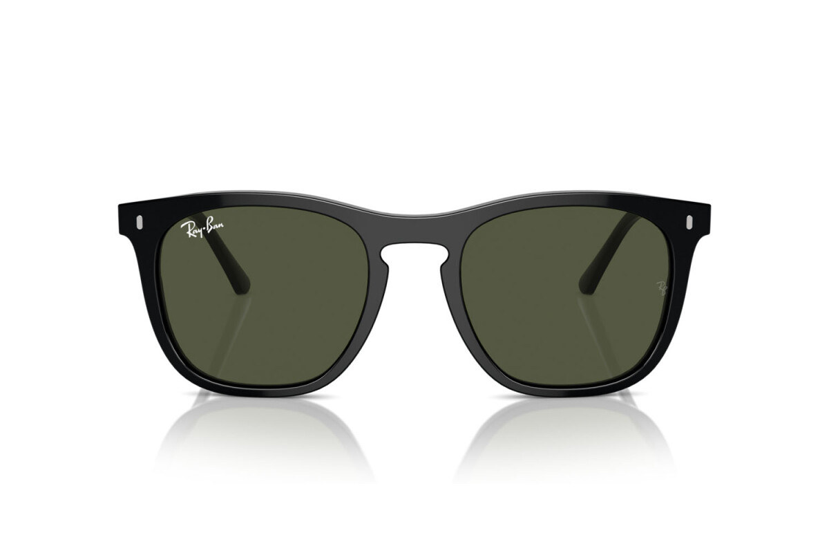 Sunglasses Unisex Ray-Ban  RB 2210 901/31