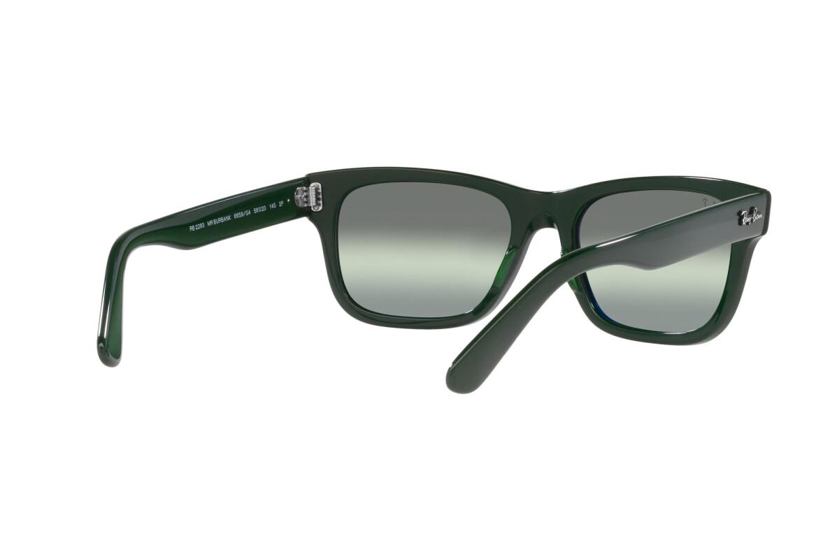 Occhiali da sole Uomo Ray-Ban Mr Burbank RB 2283 6659G4