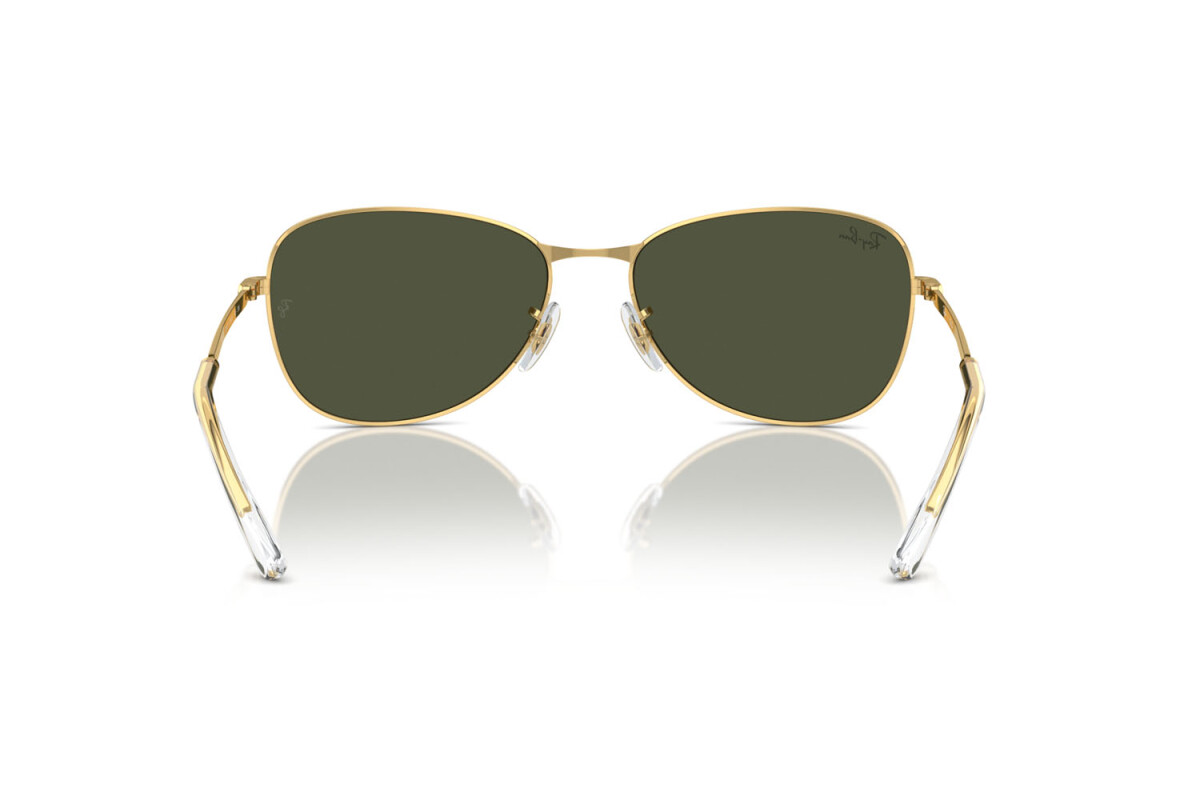 Sunglasses Unisex Ray-Ban  RB 3733 001/31