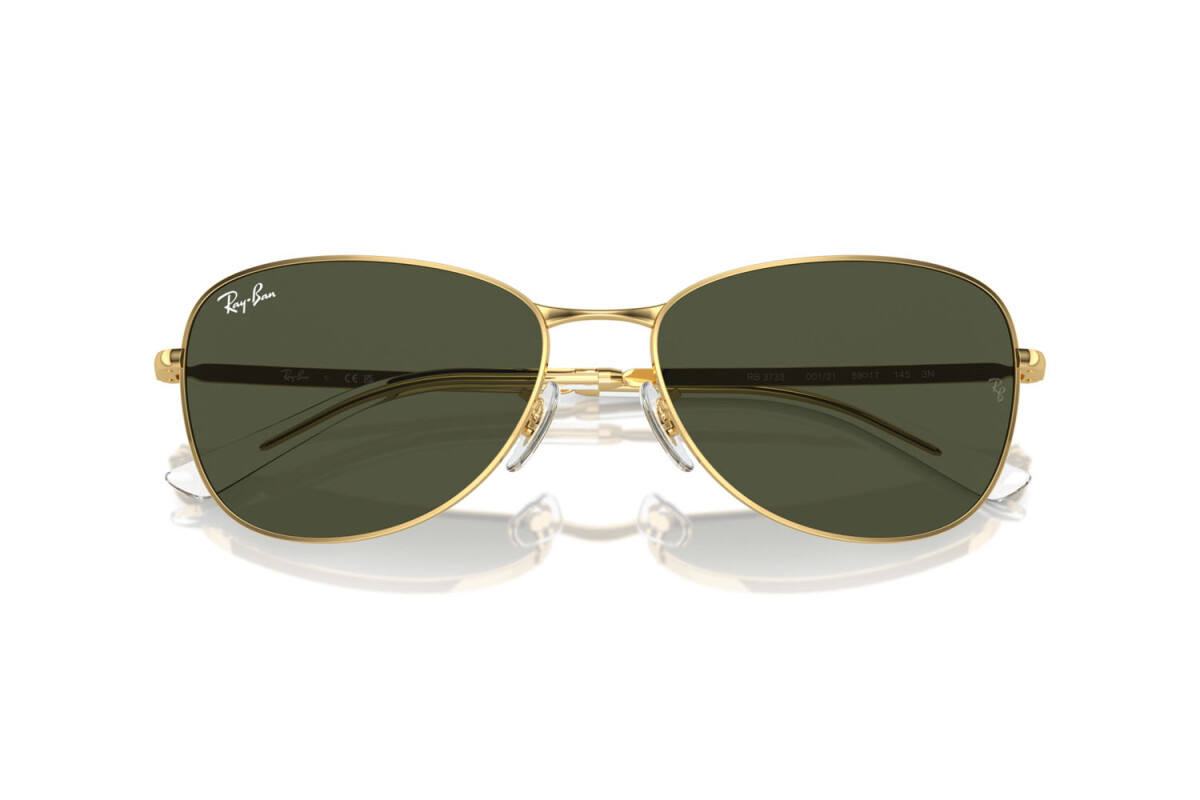 Sunglasses Unisex Ray-Ban  RB 3733 001/31