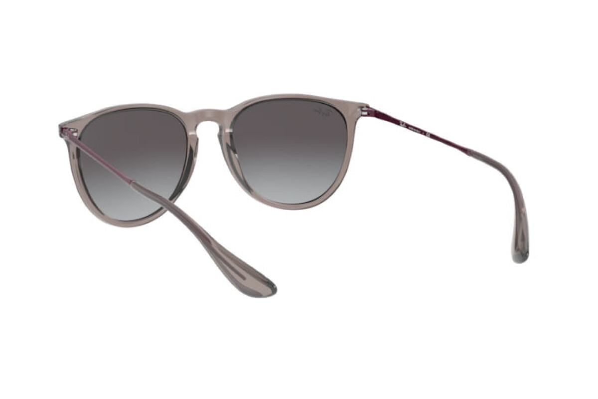 СОЛНЦЕЗАЩИТНЫЕ ОЧКИ унисекс Ray-Ban Erika RB 4171 65138G