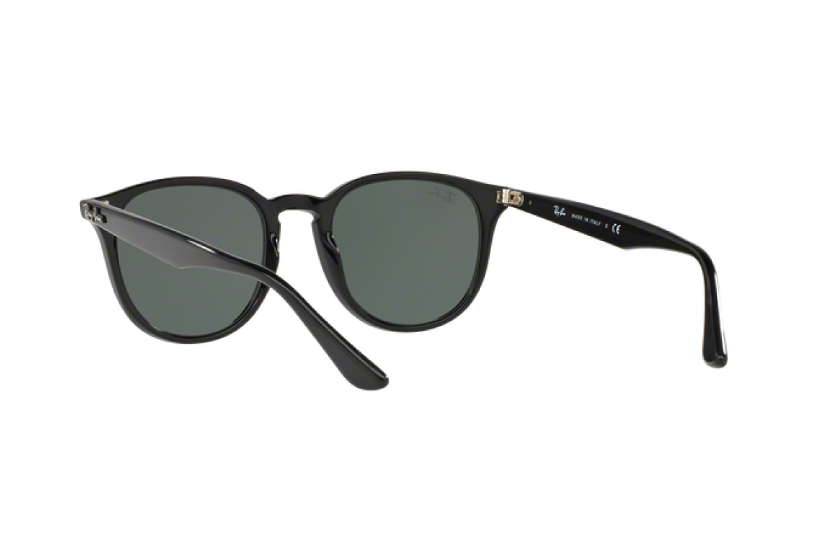 Sunglasses Ray-Ban RB 4259 (601/71)