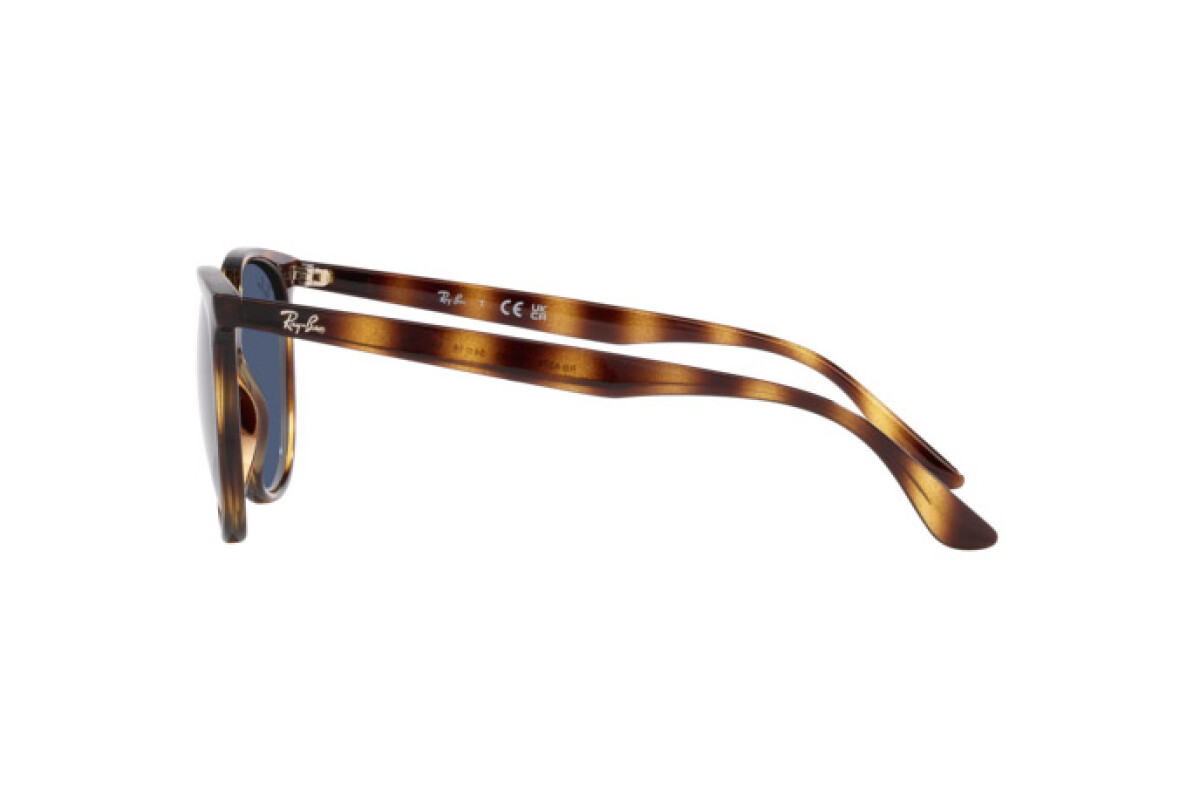 Lunettes de soleil Femme Ray-Ban  RB 4378 710/80