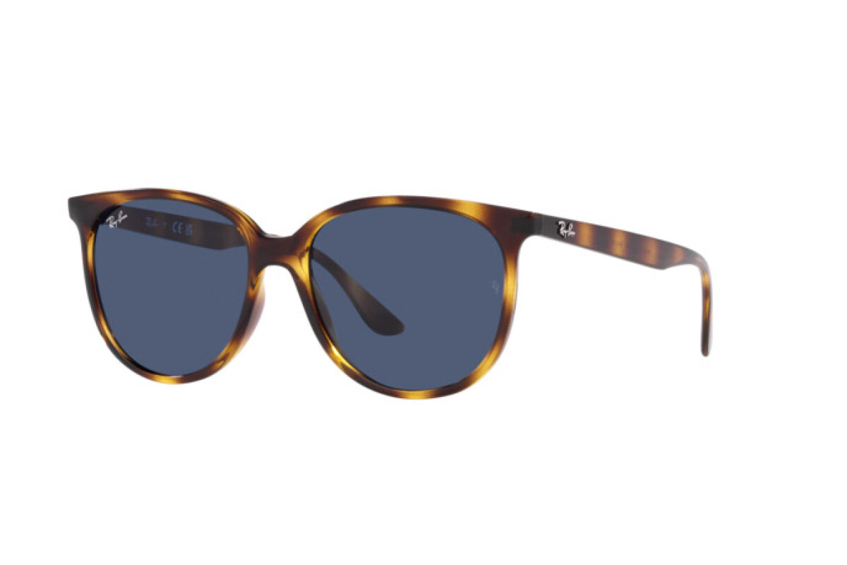 Lunettes de soleil Femme Ray-Ban  RB 4378 710/80