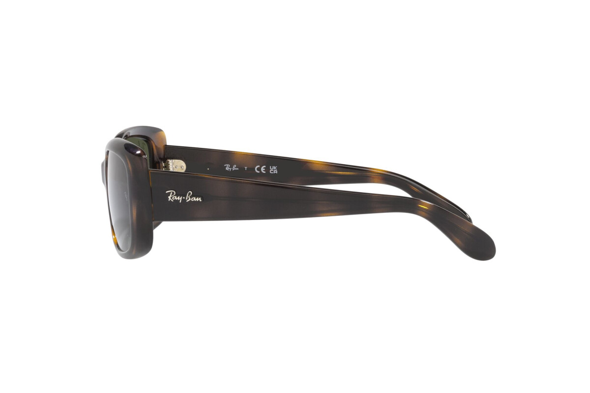 Lunettes de soleil Femme Ray-Ban  RB 4389 710/31