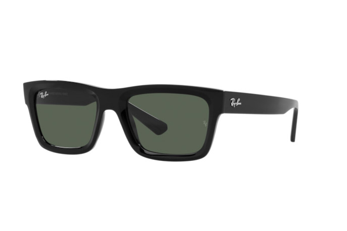 Sonnenbrillen Unisex Ray-Ban Warren RB 4396 667771