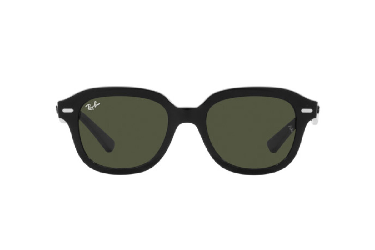 Occhiali da sole Unisex Ray-Ban Erik RB 4398 901/31