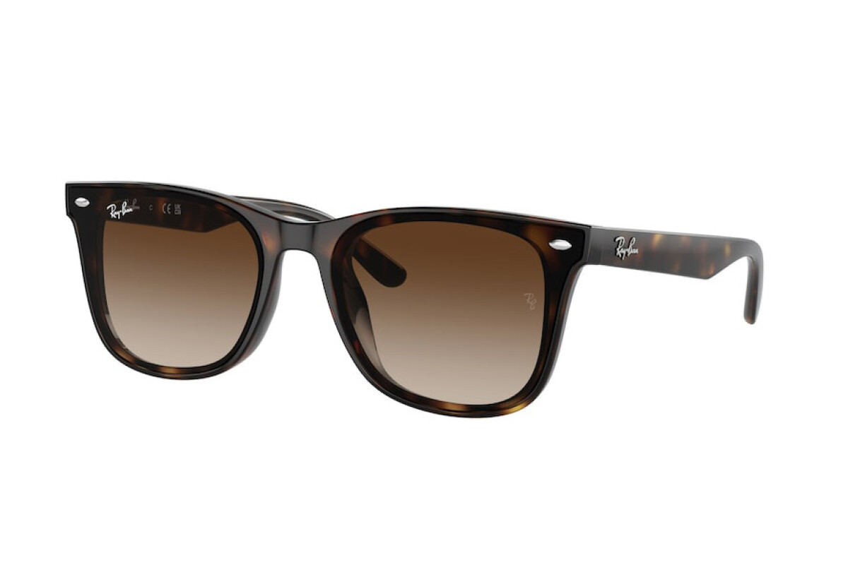 Солнцезащитные очки Ray-Ban RB 4420 (710/13)