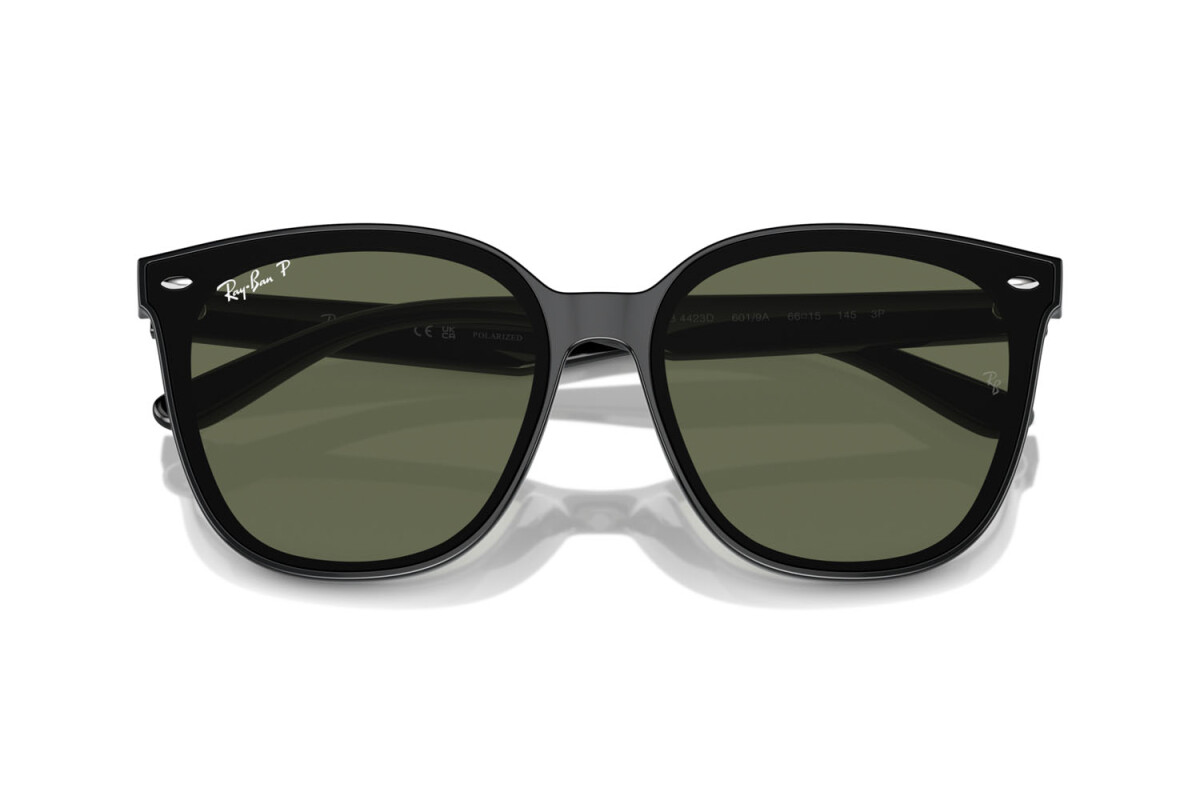 Sonnenbrillen Unisex Ray-Ban  RB 4423D 601/9A