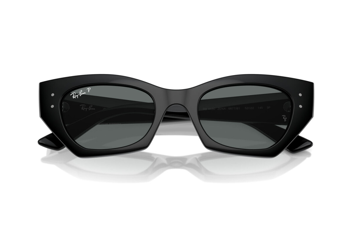 Sunglasses Unisex Ray-Ban Zena RB 4430 667781