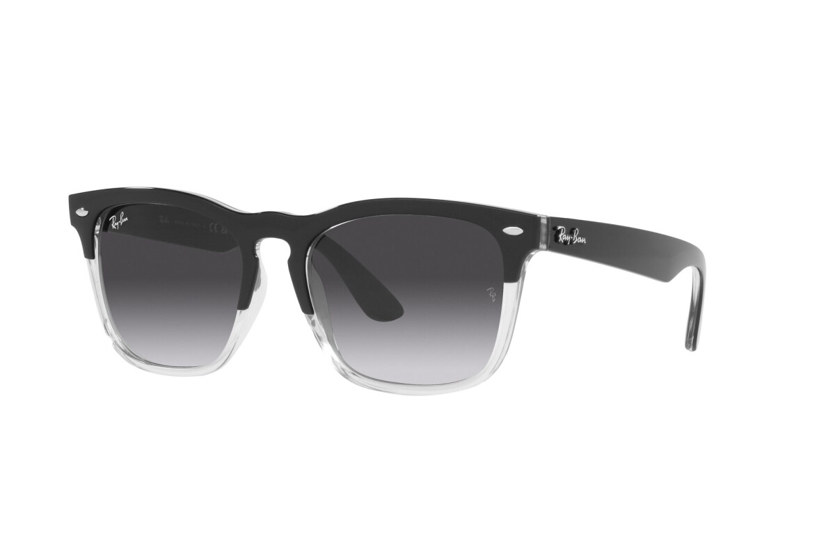 Occhiali da sole Unisex Ray-Ban Steve RB 4487 66308G