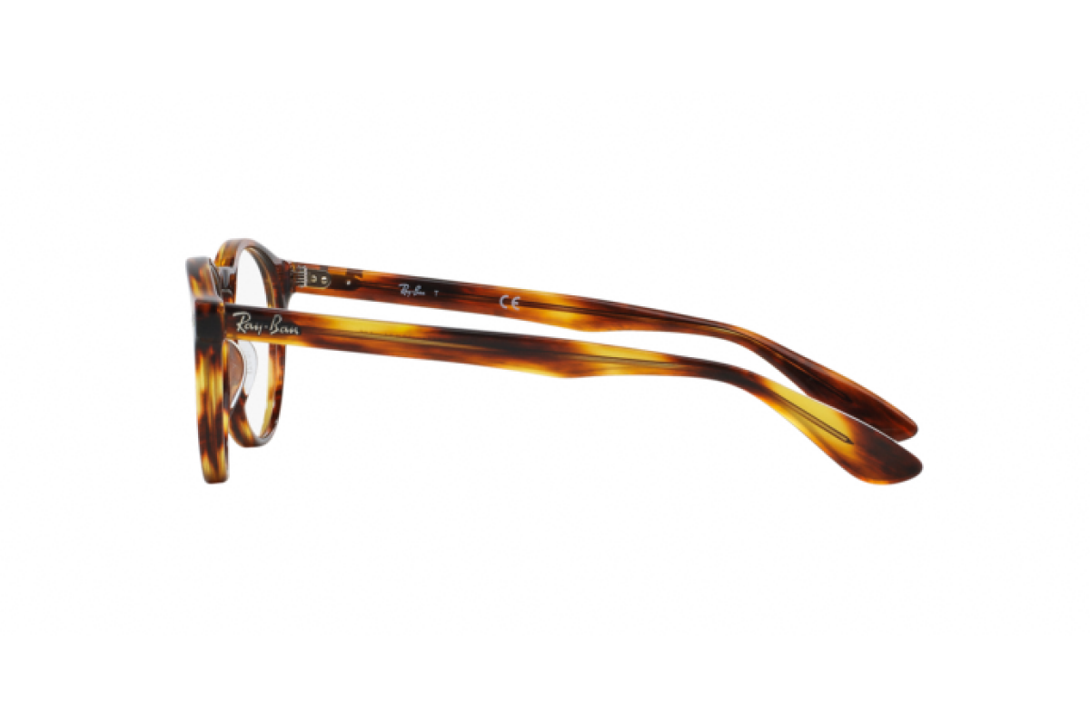 Eyeglasses Unisex Ray-Ban  RX 5283 2144