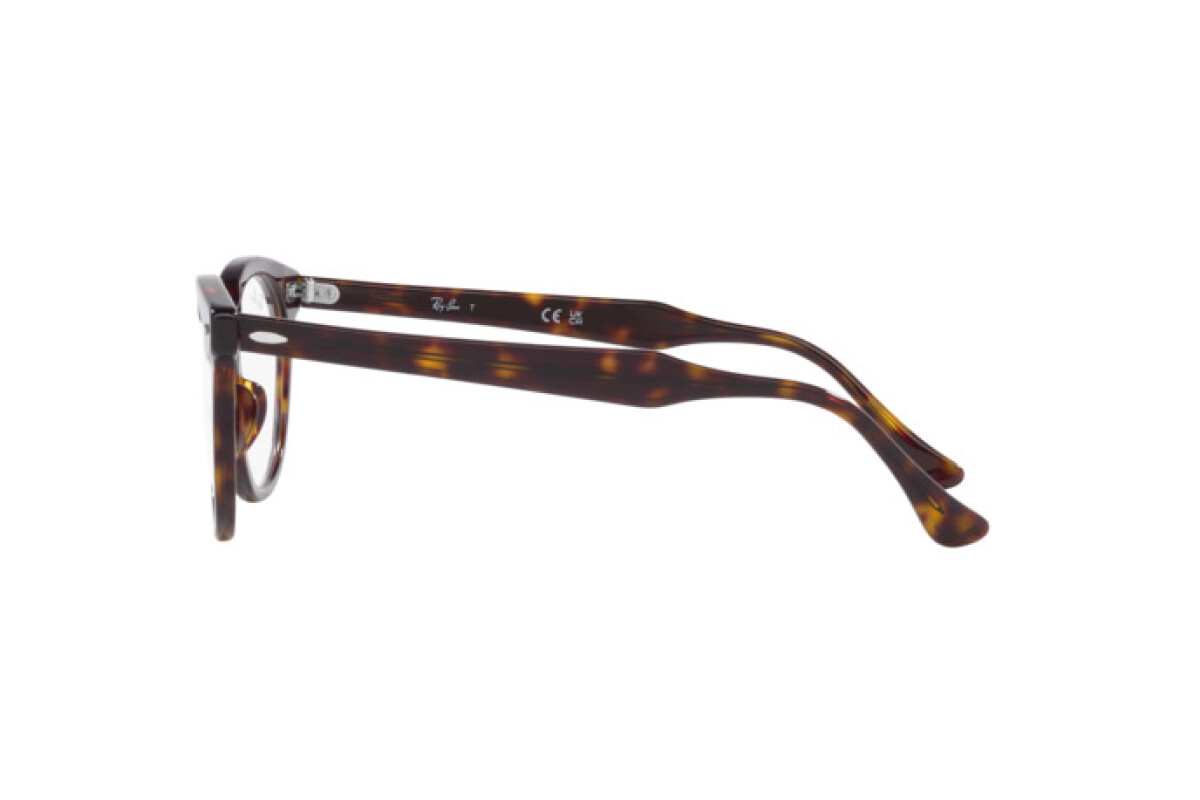 Eyeglasses Unisex Ray-Ban Eagle Eye RX 5598 2012