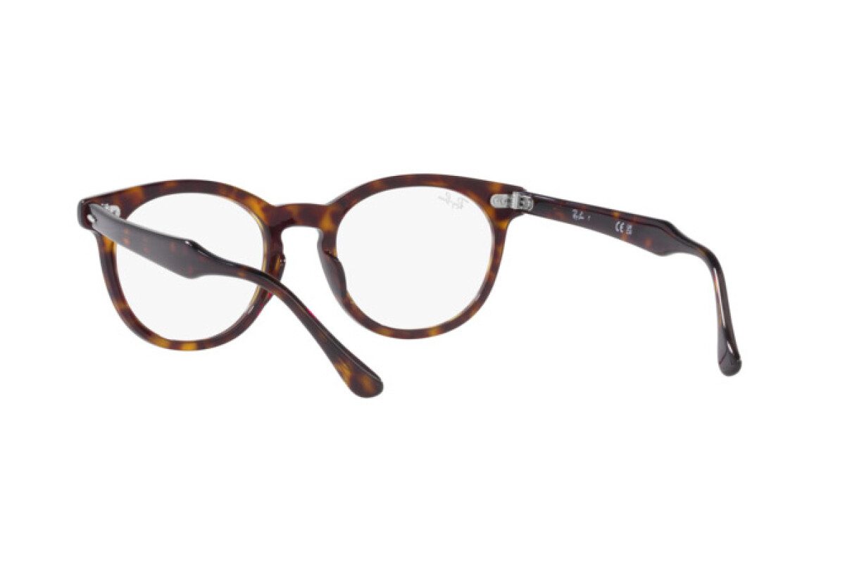 Eyeglasses Unisex Ray-Ban Eagle Eye RX 5598 2012