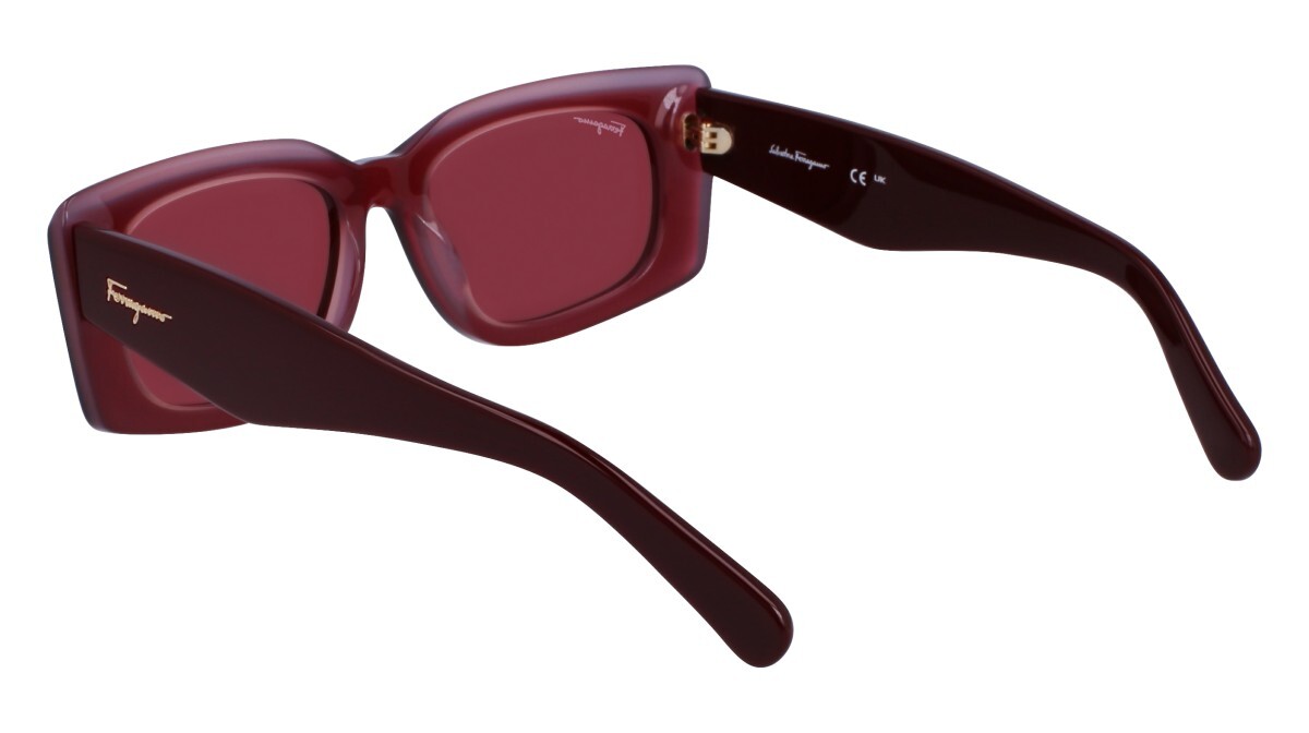 Zonnebrillen Vrouw Salvatore Ferragamo  SF1079S 614