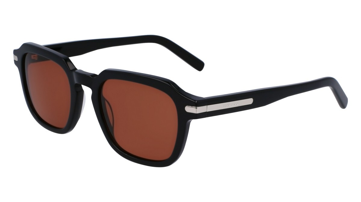 Zonnebrillen Man Salvatore Ferragamo  SF1089SN 001