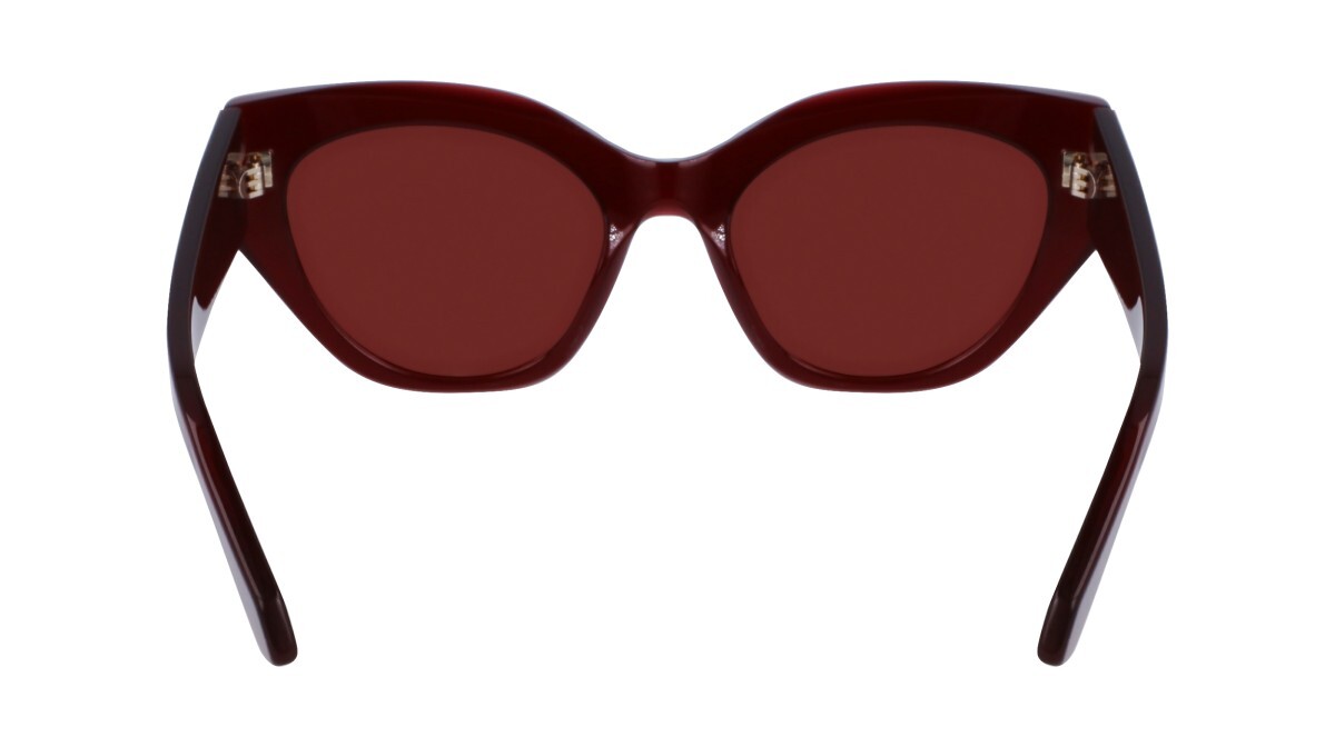 Lunettes de soleil Femme Salvatore Ferragamo  SF1107S 653