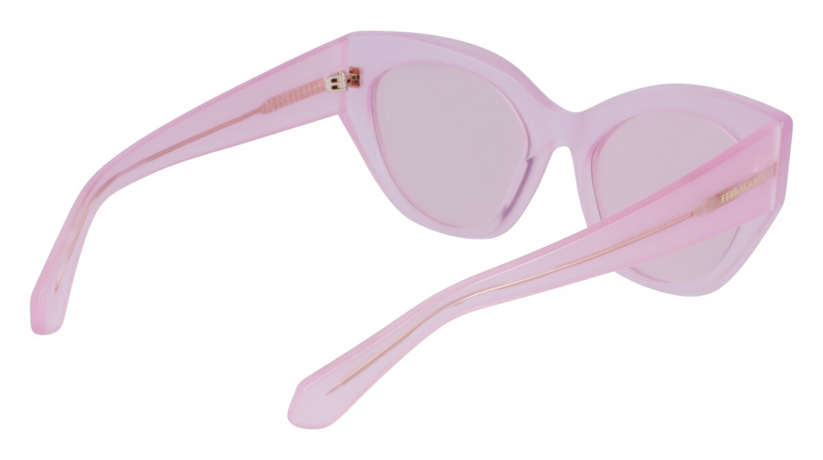 Sunglasses Woman Salvatore Ferragamo  SF1107S 663