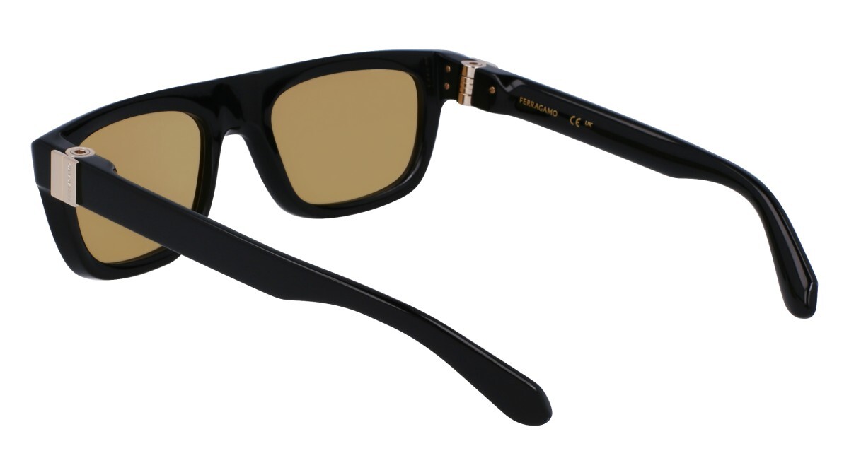 Lunettes de soleil Homme Salvatore Ferragamo  SF2009S 011