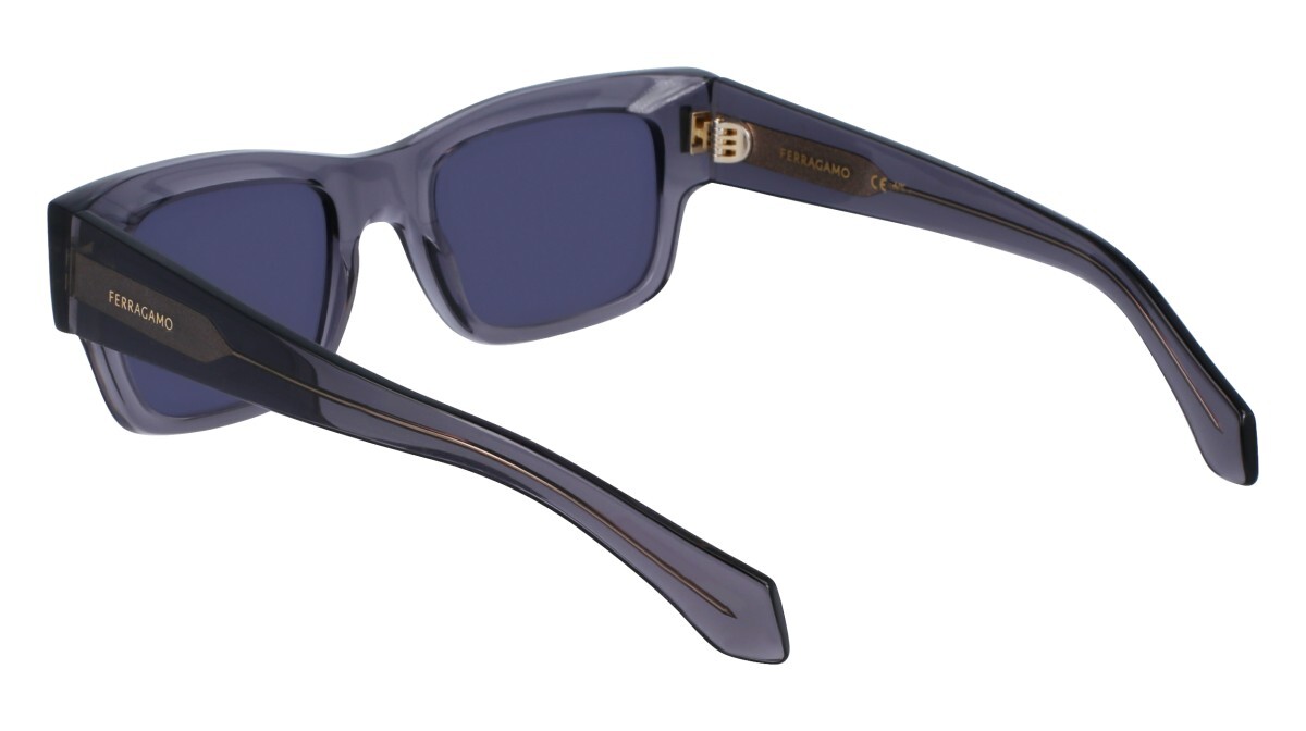 Zonnebrillen Man Salvatore Ferragamo  SF2011S 020