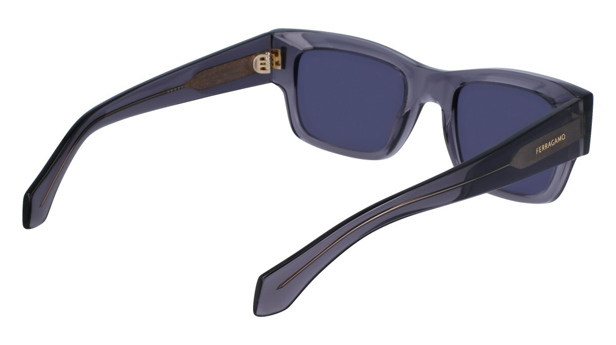 Zonnebrillen Man Salvatore Ferragamo  SF2011S 020