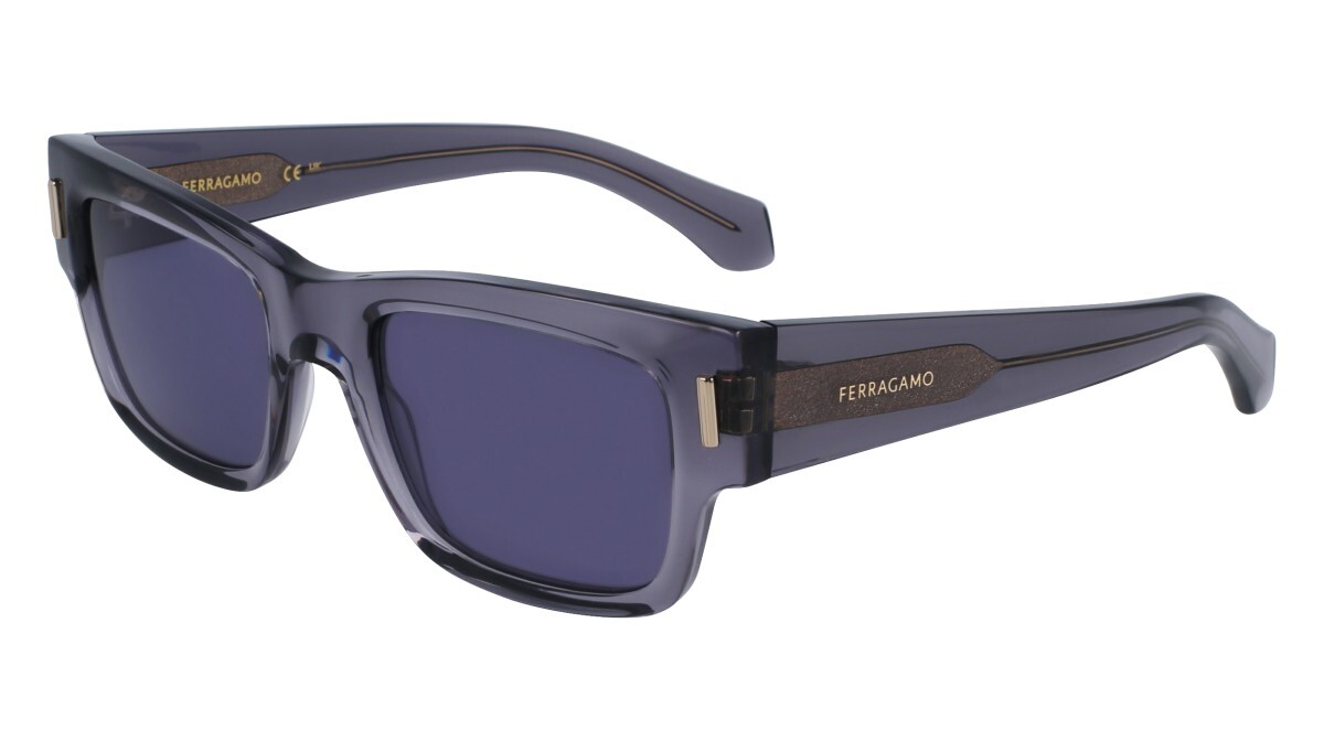 Zonnebrillen Man Salvatore Ferragamo  SF2011S 020