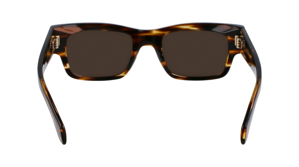 Sunglasses Man Salvatore Ferragamo  SF2011S 216