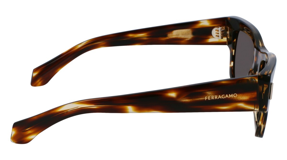 Sunglasses Man Salvatore Ferragamo  SF2011S 216