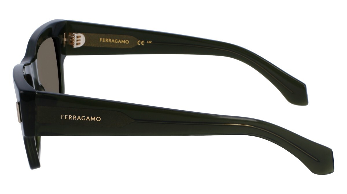 Sunglasses Man Salvatore Ferragamo  SF2011S 320