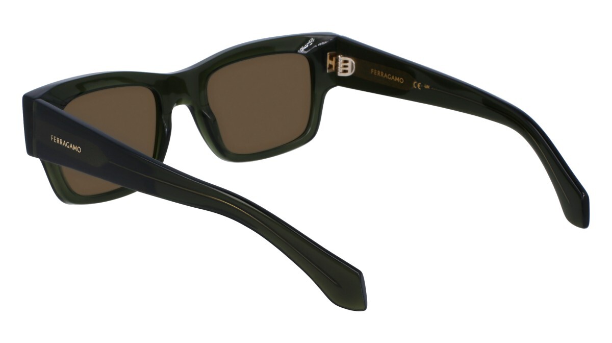 Sunglasses Man Salvatore Ferragamo  SF2011S 320