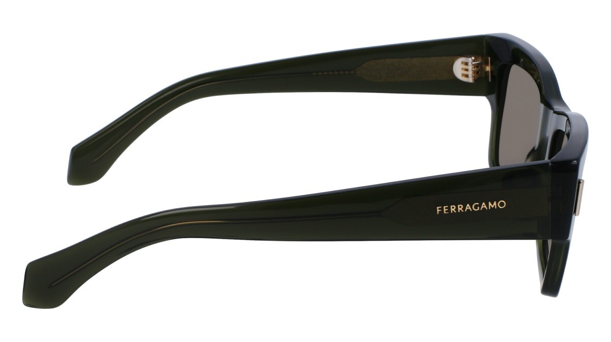 Sunglasses Man Salvatore Ferragamo  SF2011S 320