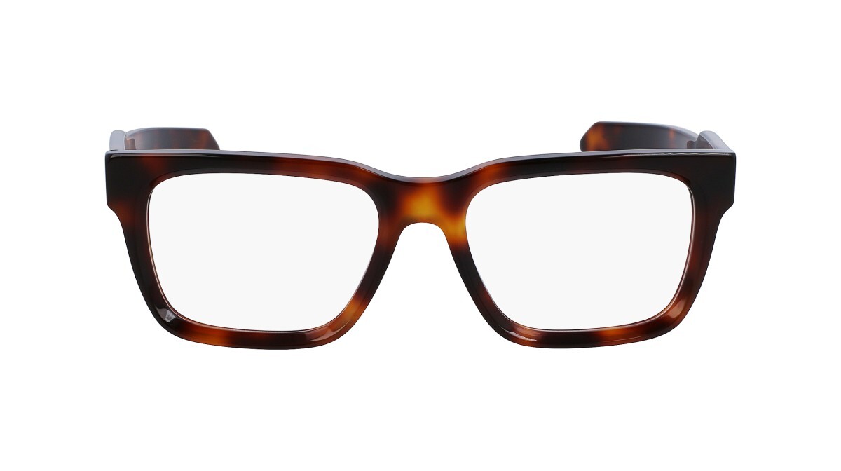 Eyeglasses Man Salvatore Ferragamo  SF2941 240