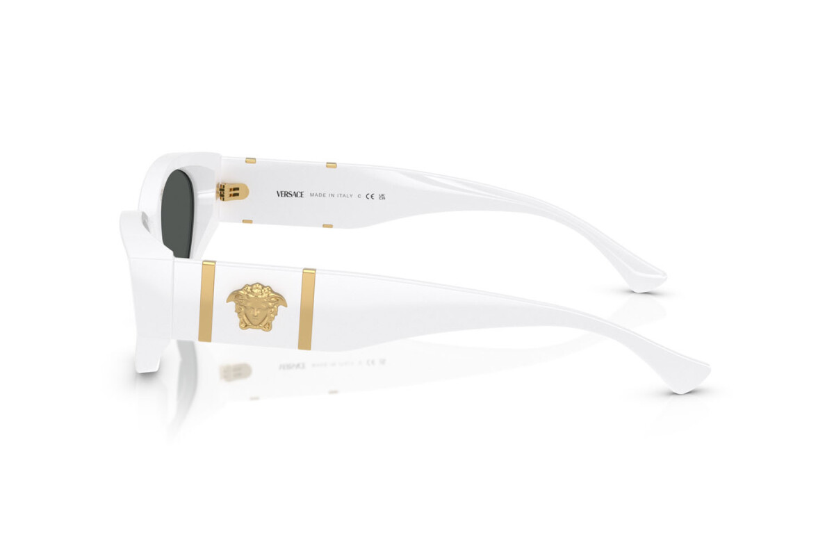 Sonnenbrillen Frau Versace  VE 4454 314/87