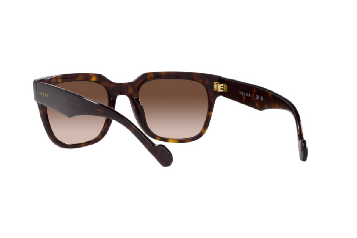 Sunglasses Man Vogue  VO 5490S W65613