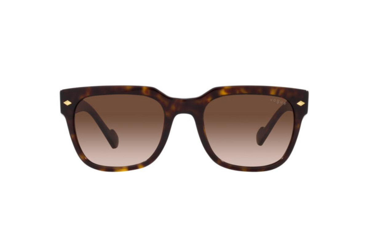 Sunglasses Man Vogue  VO 5490S W65613