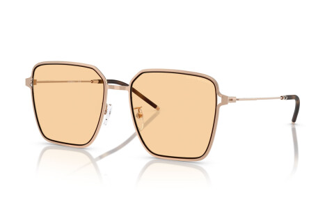 Солнцезащитные очки Emporio Armani EA 2159D (3011/7)