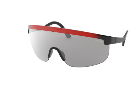 Sonnenbrille Polo PH 4156 (58156G)