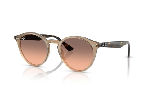 Occhiali da Sole Ray-Ban RB 2180 (678846)