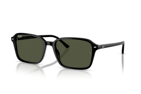 Occhiali da Sole Ray-Ban Raimond RB 2231 (901/31)