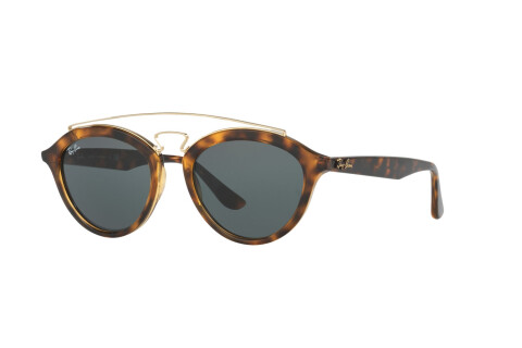 Occhiali da Sole Ray-Ban New Gatsby II RB 4257 (710/71)