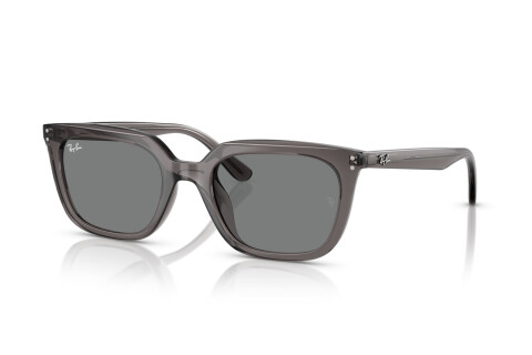 Occhiali da Sole Ray-Ban RB 4439D (667587)