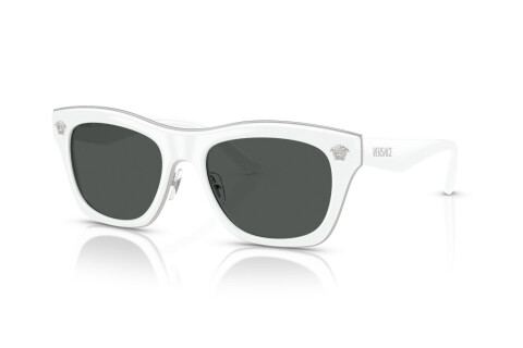 Sunglasses Versace VE 2272 (314/87)