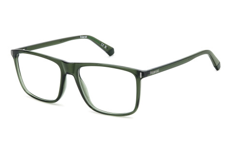 Brille Polaroid Pld D536 108831 1ED