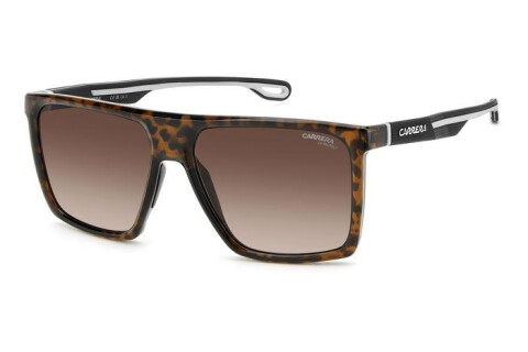 Sunglasses Carrera 4019/S 206758 (086 HA)