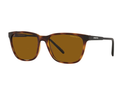 Sunglasses Arnette Cortex AN 4291 (277083)
