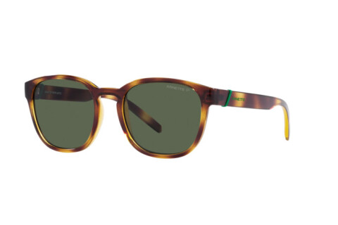 Sunglasses Arnette Barranco AN 4319 (27709A)