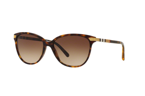 Sunglasses Burberry BE 4216 (300213)